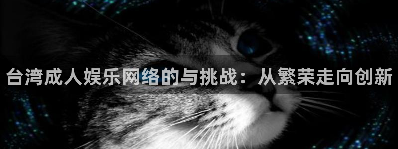 赢咖6：台湾成人娱乐网络的与挑战：从繁荣走向创新