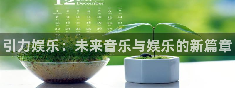 赢咖ⅱ平台：引力娱乐：未来音乐与娱乐的新篇章