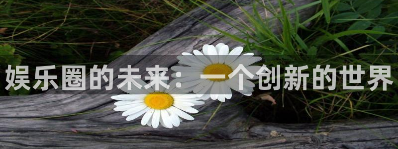 赢咖代理：娱乐圈的未来：一个创新的世界