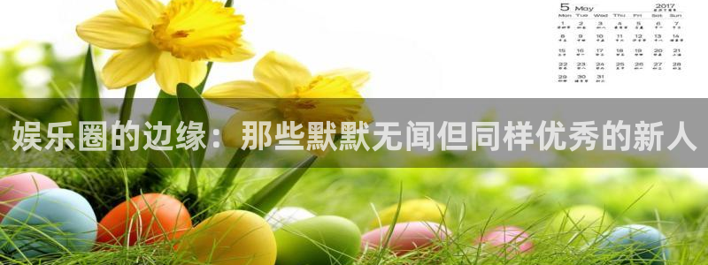 赢咖4登录网址：娱乐圈的边缘：那些默默无闻但同样优秀的新人